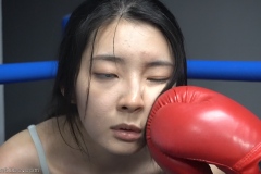 019